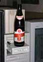 Pivo