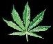 Domc strnka hry HighGrow